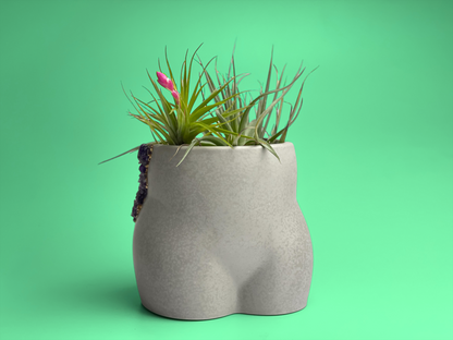 Amethyst Butt Planter