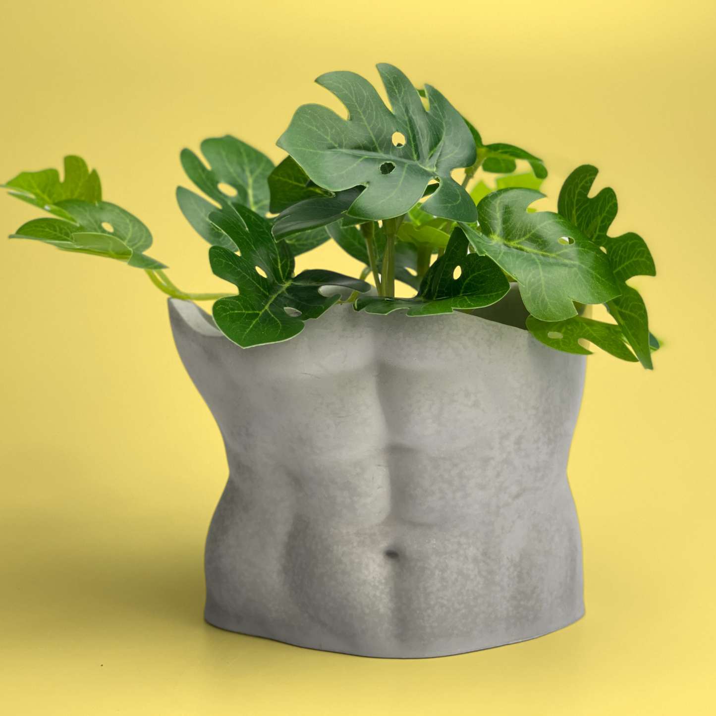 Male Body Planter Pot | TORSO