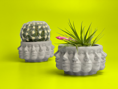 Multi Face Succulent Planter