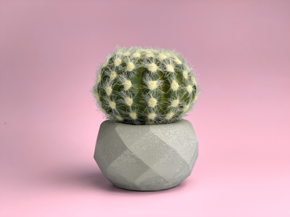 Geometric Air Plant Holder