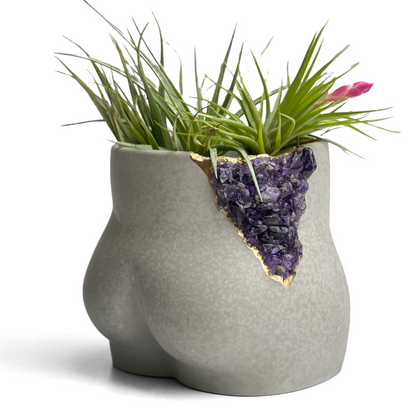 Amethyst Butt Planter