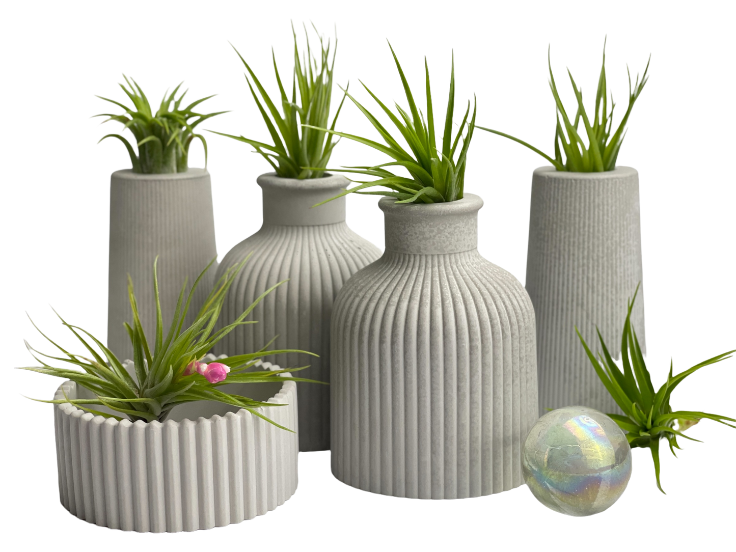 SKINNY MINI VASE | AIR PLANT HOLDER