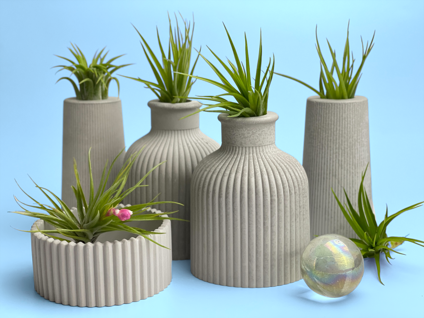 SKINNY MINI VASE | AIR PLANT HOLDER