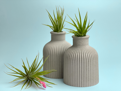 FAT MINI VASE | AIR PLANT HOLDER