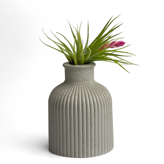 FAT MINI VASE | AIR PLANT HOLDER
