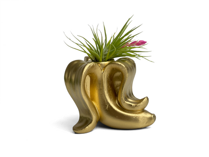 Banana Air Plant Holder