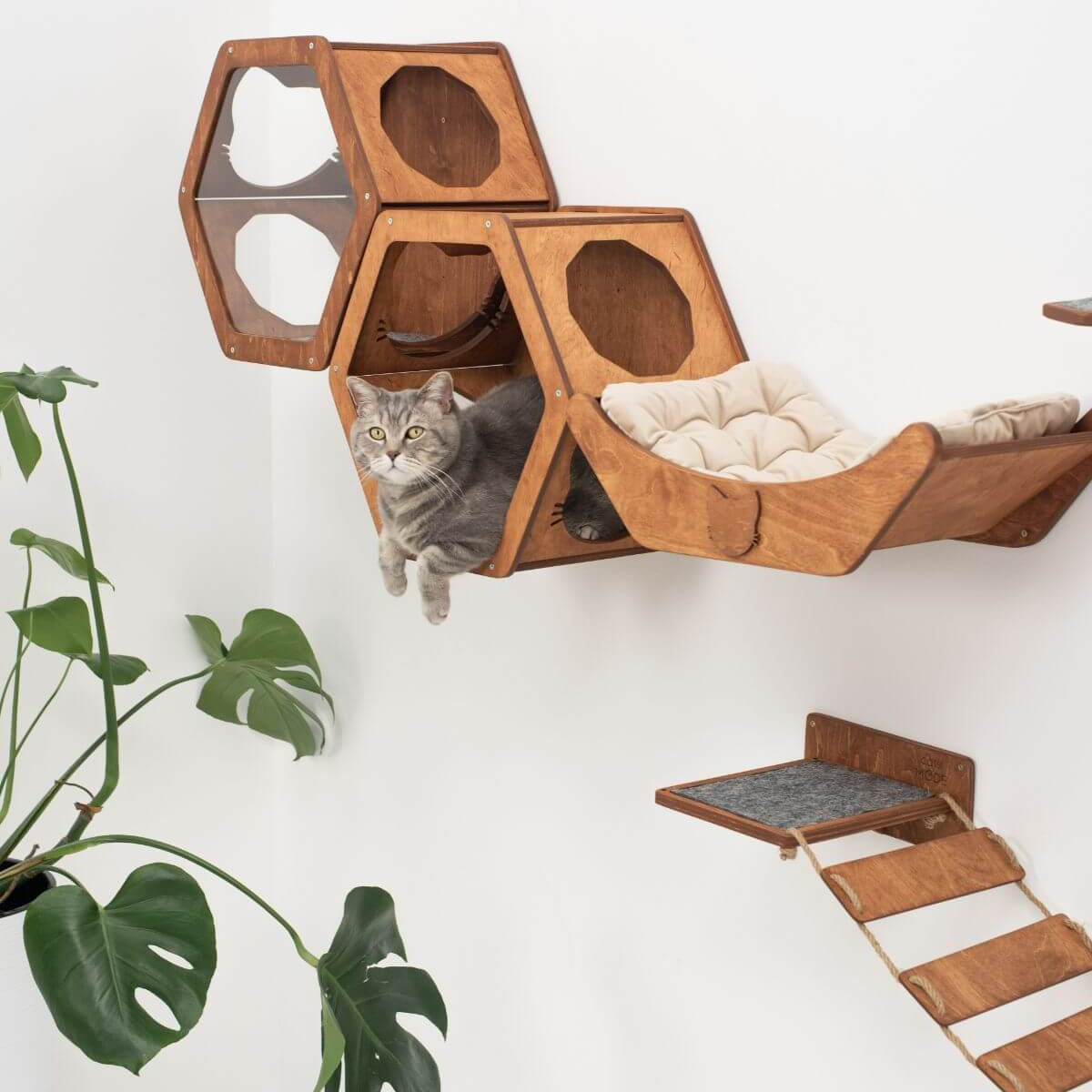 Sleeping Cat Pillow - Beige