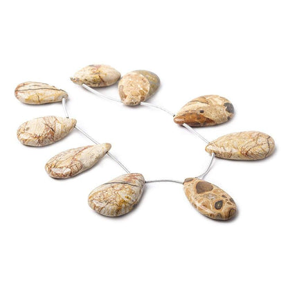 18x18-31x18mm Pollack Jasper Plain Pear Beads 8 inch 9 pieces