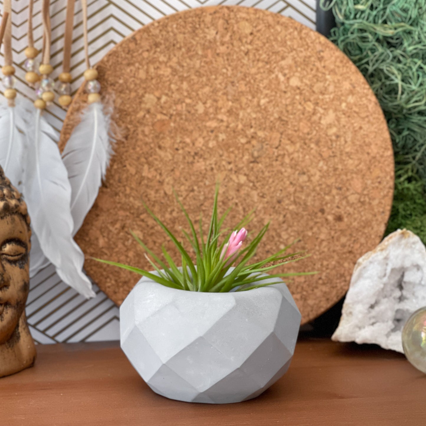 Geometric Air Plant Holder